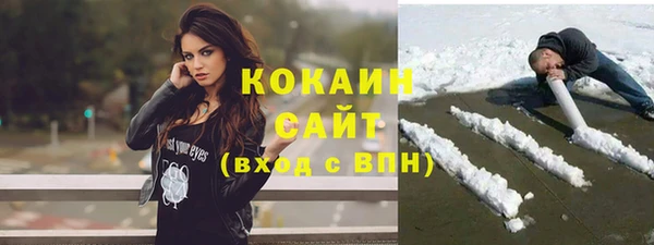 гидропоника Новозыбков
