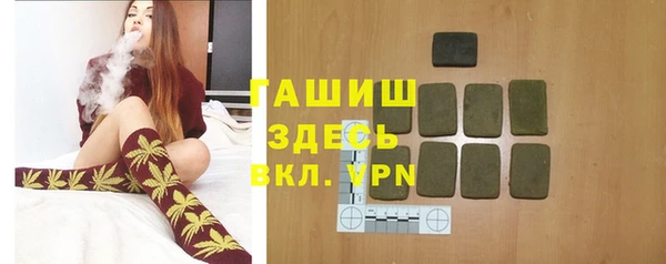 гашик Новодвинск