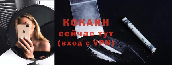 гидропоника Новозыбков
