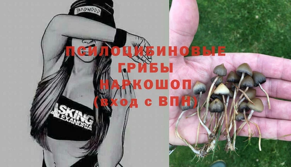 трава Нея