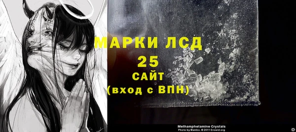 гидропоника Новозыбков