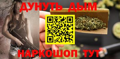 стафф Дубна