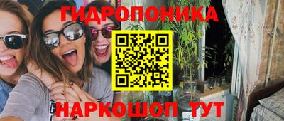 стафф Дубна