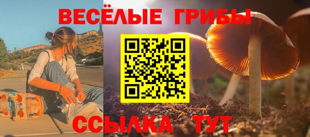 Галлюциногенные грибы прущие грибы Когалым